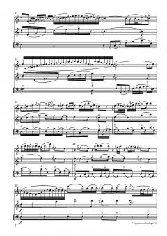 Drei Violinsonaten in C-Dur, D-Dur, b-Moll von Johann Wilhelm Hertel im Alle Noten Shop kaufen (Partitur)