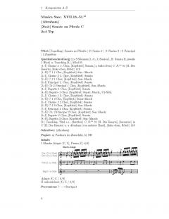 Die Musikaliensammlungen des Erbprinzen Friedrich Ludwig (Ekkehard Krüger) 