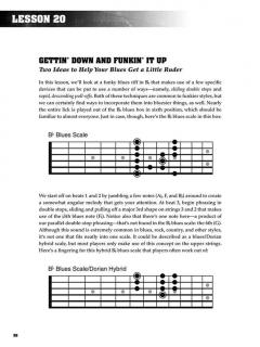 Stretchin' The Blues von Duke Robillard 