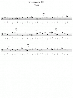 Zeremonienbuch für Holzblasinstrument (Urs Peter Schneider) 