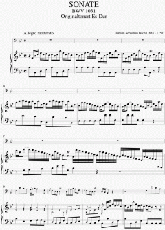 Sonate in B-Dur BWV 1031 (J.S. Bach) 