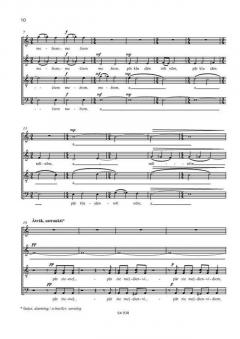 Ugunssargs von Peteris Vasks 