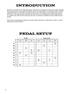 100 Hot Licks For Pedal Steel Guitar von Johnie Helms 