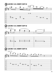 100 Hot Licks For Pedal Steel Guitar von Johnie Helms 