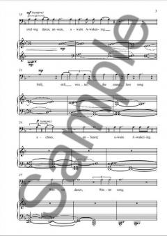 Time And The Seasons von Robert Saxton 