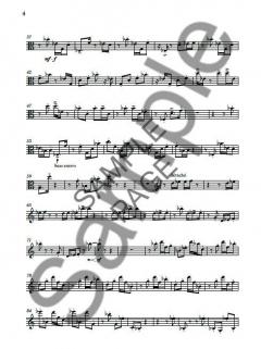 Three Etudes For Viola von Nico Muhly im Alle Noten Shop kaufen