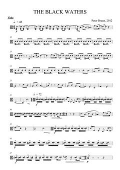 The Black Waters von Peter Bruun 
