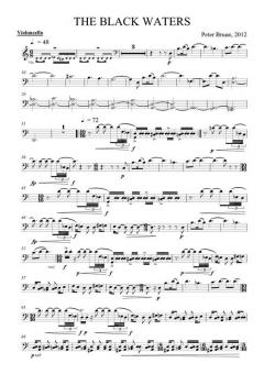 The Black Waters von Peter Bruun 