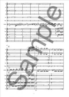 Concerto for Aluphone (Doubling Marimba) and Orchestra von Anders Koppel im Alle Noten Shop kaufen (Partitur)