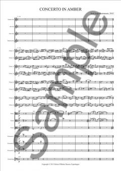 Concerto In Amber (Karl Aage Rasmussen) 