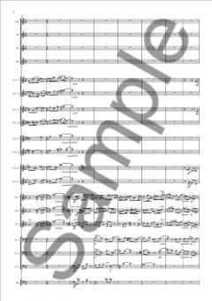 Concerto In Amber (Karl Aage Rasmussen) 