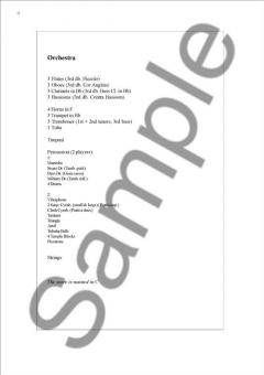 Symphony No. 13 von Ib Norholm 