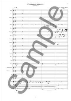 Symphony No. 13 von Ib Norholm 