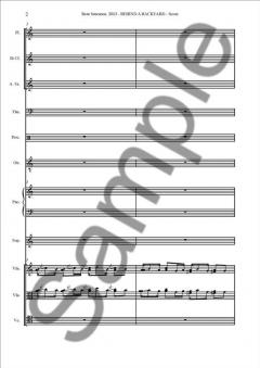 Behind A Backyard (Bent Sorensen) 