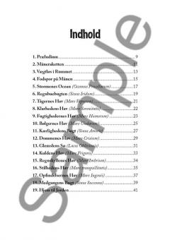 Manerejsen von Jakob Fester 