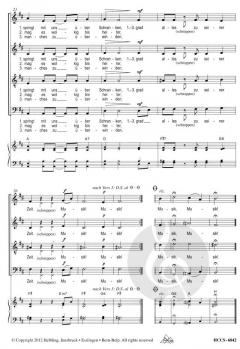 Musik macht gute Laune (Lorenz Maierhofer) 