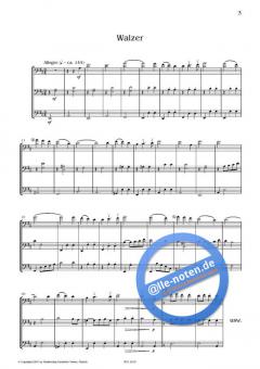 Salonmusik von Johanna Varner 