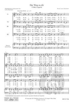 Der Weg zu dir (Lorenz Maierhofer) 