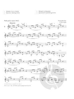 Klassische Gitarrenetüden 