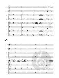 Sinfonia concertante C-Dur von Anton Romberg für 2 Fagotte und Orchester im Alle Noten Shop kaufen (Partitur)