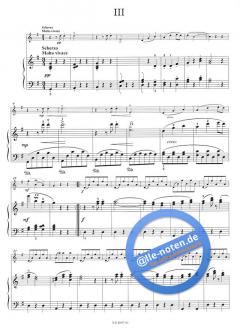 Sonatine G-Dur, op. 100 von Antonín Dvorák 