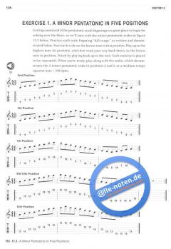 Blues Guitar Technique von Michael Williams 