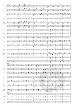 Dorfschwalben aus Österreich - Walzer op. 164 (Josef Strauss) 