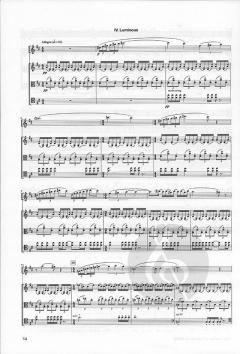 4 Preludes to Infinity (Theo Verbey) 