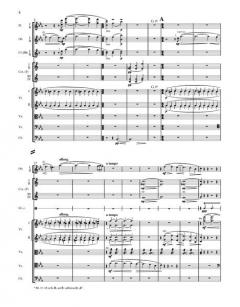 Sämtliche Werke Serie I (Orchesterwerke) Band 12b von Jean Sibelius 