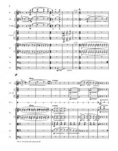 Sämtliche Werke Serie I (Orchesterwerke) Band 12b von Jean Sibelius 