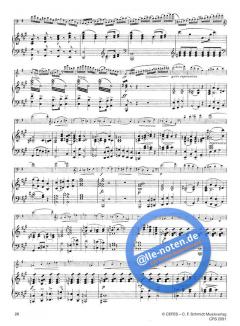 Die hohe Schule Band 8 von Franz Simandl 