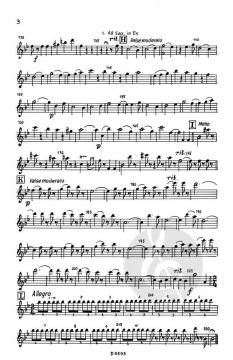 Die Landstreicher Ouverture (Carl Michael Ziehrer) 