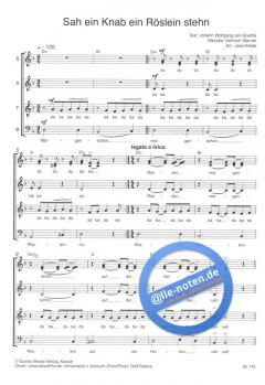 Sah ein Knab ein Röslein stehn (Werner Heinrich) 