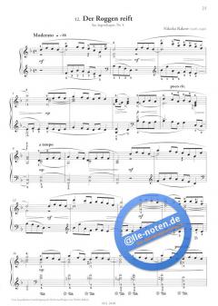 Russische Klaviermusik Band 2 im Alle Noten Shop kaufen