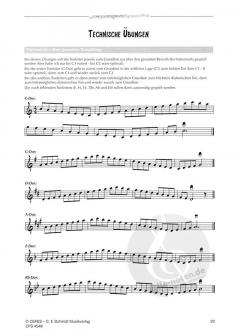 Jazz Studies von Martin Stolz 