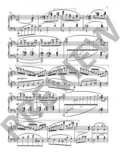 Piano Transcriptions 