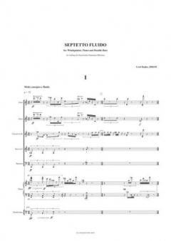 Septetto Fluido 