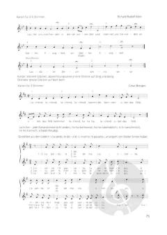 Unsere Stimme ihre Funktion und Pflege I von Heinrich von Bergen 