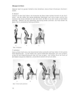 Unsere Stimme ihre Funktion und Pflege II von Heinrich von Bergen 