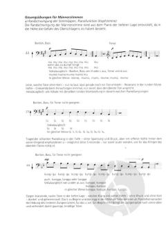 Unsere Stimme ihre Funktion und Pflege II von Heinrich von Bergen 