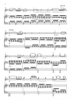 Andante aus der Symphonie Nr. 5 d-Moll op. 107 von Felix Mendelssohn Bartholdy 