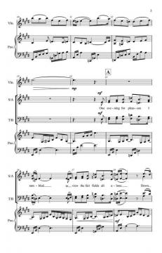 The Blooming Bright Star Of Belle Isle 