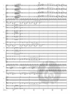 Devil's Dance von John Williams 