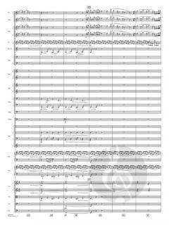 Devil's Dance von John Williams 