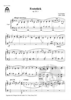 Festliche Prä- und Postludien der deutschen Romantik Band 2 