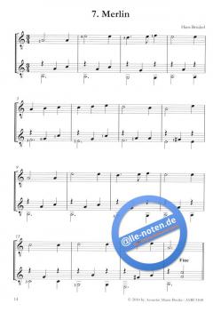 Im Galopp von Hans Brüderl 