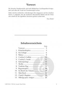 Im Galopp von Hans Brüderl 