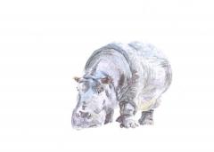 Nun singet und seid froh beim Rundgang durch den Zoo (Andreas Schultze-Florey) 