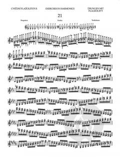 Schule der Violintechnik op. 1 Heft 4 von Otakar Ševčík im Alle Noten Shop kaufen