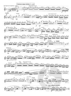 Saxophone Concertino von Satoshi Yagisawa 